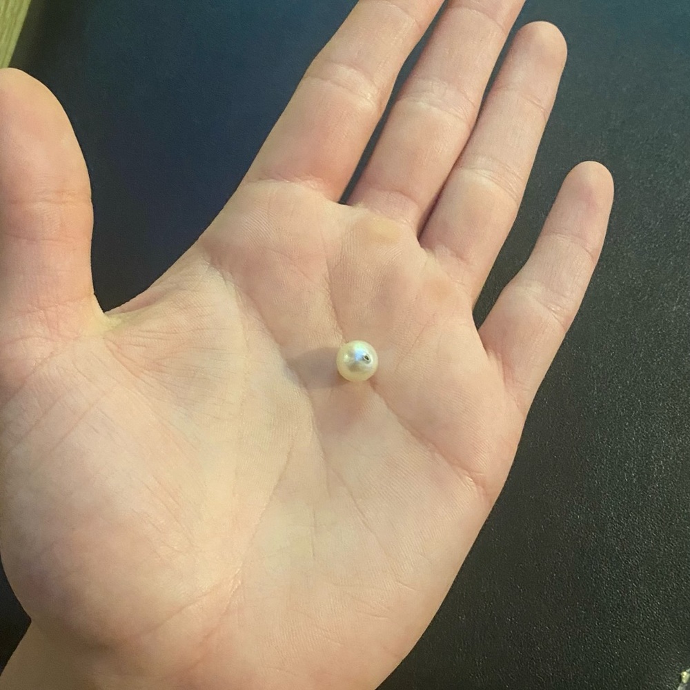 🤍🌊AUTHENTIC UNMODIFIED INTACT AKOYA PEARL🌊🤍